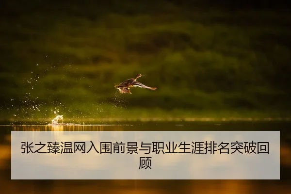 张之臻温网入围前景与职业生涯排名突破回顾